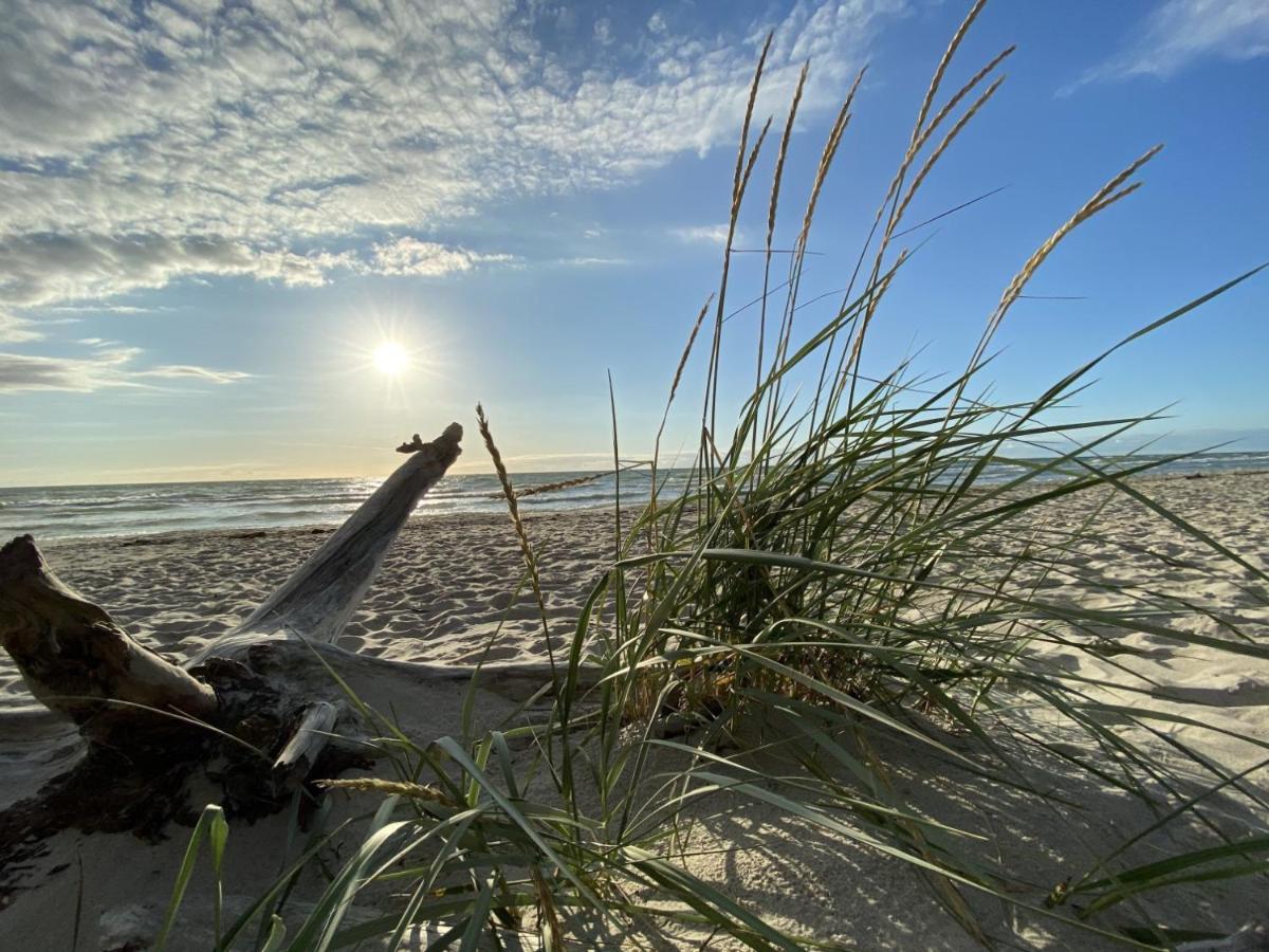 Fewo Unweit Warnemuende Sobierajczyk In Markgrafenheide Rostock Dış mekan fotoğraf